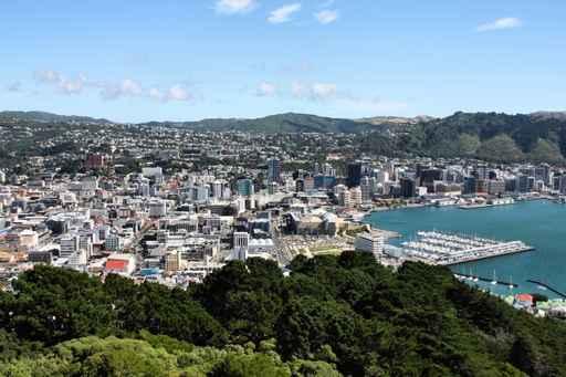 Wellington Wall Decal