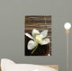 Bowl Orchid Bamboo Mat Wall Decal