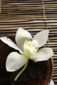 Bowl Orchid Bamboo Mat Wall Decal