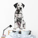 Dalmatian Puppy Wall Decal Design 3