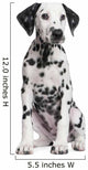 Dalmatian Puppy Wall Decal Design 3