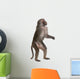 Baboon Standing up Simia Wall Decal