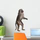 Baboon Standing up Simia Wall Decal