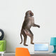 Baboon Standing up Simia Wall Decal