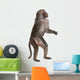 Baboon Standing up Simia Wall Decal