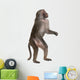 Baboon Standing up Simia Wall Decal