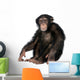 Young Chimpanzee Wall Decal Design 2