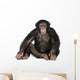 Young Chimpanzee Wall Decal Design 1