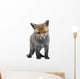 Red Fox Cub 6 Wall Decal