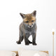 Red Fox Cub 6 Wall Decal