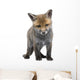 Red Fox Cub 6 Wall Decal