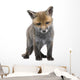 Red Fox Cub 6 Wall Decal