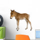 Foal Wall Decal