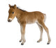 Foal Wall Decal
