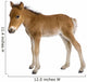 Foal Wall Decal
