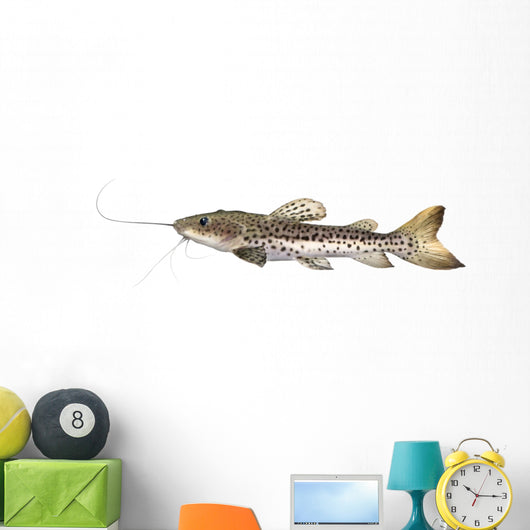 Catfish Pseudoplatystoma Fasciatum Wall Decal
