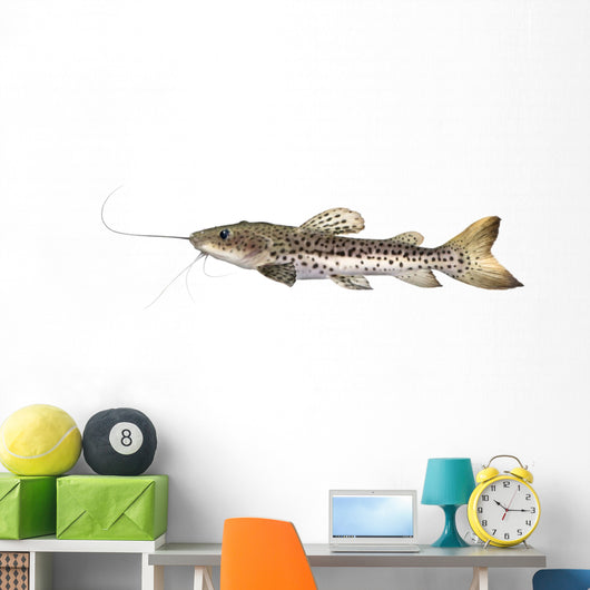Catfish Pseudoplatystoma Fasciatum Wall Decal