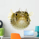 Long-Spine Porcupinefish Wall Decal