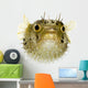 Long-Spine Porcupinefish Wall Decal