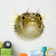 Long-Spine Porcupinefish Wall Decal
