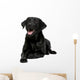 Black Labrador Wall Decal
