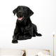 Black Labrador Wall Decal