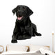Black Labrador Wall Decal