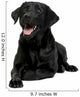 Black Labrador Wall Decal