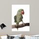 Parakeet Alexandrine White Wall Decal Design 2