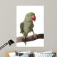 Parakeet Alexandrine White Wall Decal Design 2