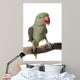 Parakeet Alexandrine White Wall Decal Design 2