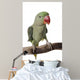 Parakeet Alexandrine White Wall Decal Design 2