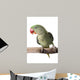 Parakeet Alexandrine White Wall Decal Design 1