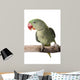 Parakeet Alexandrine White Wall Decal Design 1
