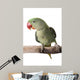 Parakeet Alexandrine White Wall Decal Design 1