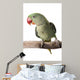 Parakeet Alexandrine White Wall Decal Design 1