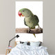Parakeet Alexandrine White Wall Decal Design 1