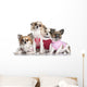 4 Chihuahuas Dressed-up Wall Decal