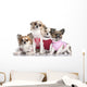 4 Chihuahuas Dressed-up Wall Decal