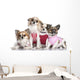 4 Chihuahuas Dressed-up Wall Decal