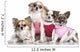 4 Chihuahuas Dressed-up Wall Decal