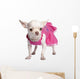 Chihuahua Wall Decal