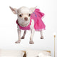 Chihuahua Wall Decal