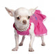 Chihuahua Wall Decal
