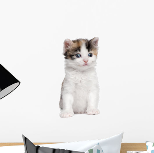 Kitten Wall Decal