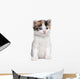 Kitten Wall Decal