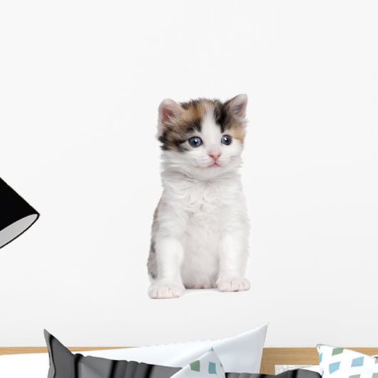 Kitten Wall Decal
