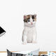Kitten Wall Decal
