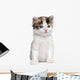 Kitten Wall Decal