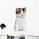 Kitten Wall Decal